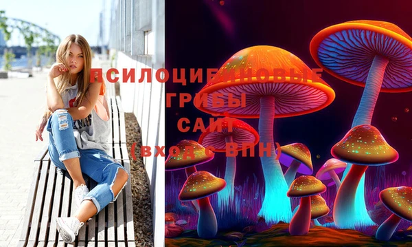 а пвп мука Алзамай