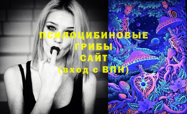 а пвп мука Алзамай