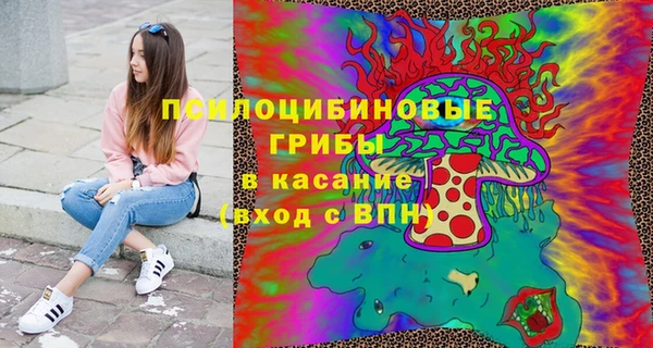 герыч Алексин